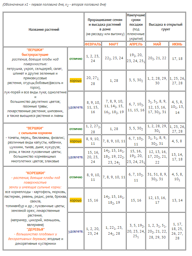 Календарь пересадки комнатных цветов на февраль