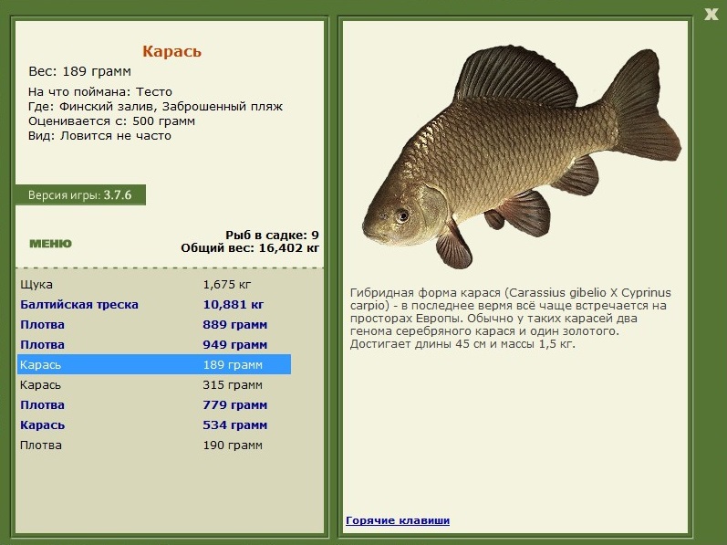 Размеры ловли карася