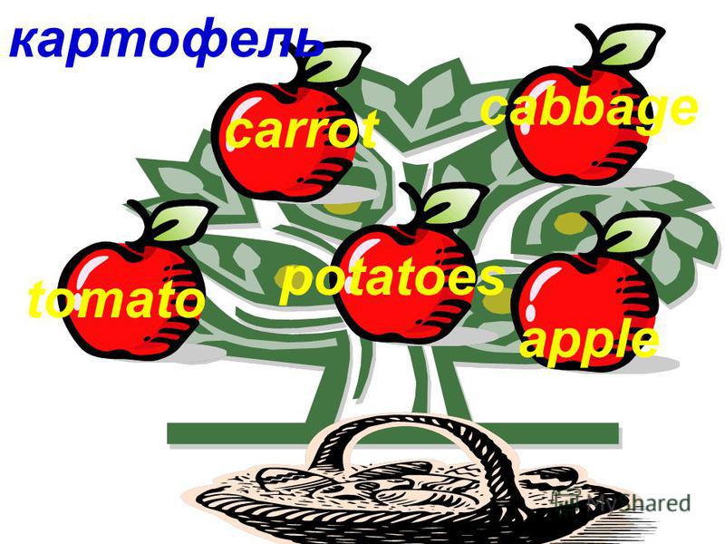 Яблочко корень слова