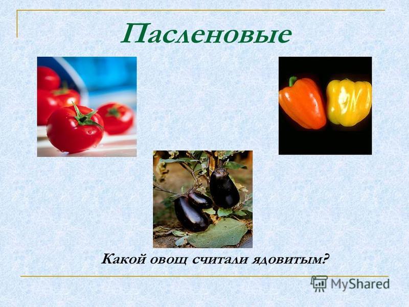 Томаты относятся к пасленовым. Фрукт семейства пасленовых. Паслёновые овощи. Семейство пасленовых список продуктов. Овощи из семейства пасленовых список.