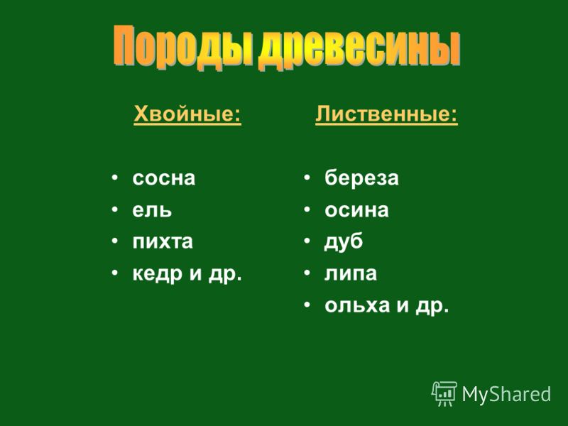 Осина лиственная или хвойная. Липа лиственное или хвойное. Ольха это хвойное или лиственное дерево. Кедр хвойное или лиственное. Липа какое дерево лиственное или хвойное.