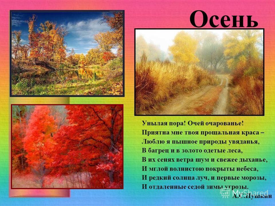 Осень содержание. Описание времен года. Анализ стихотворения осень. Произведение Чайковского осень. Музыкальные произведения про осень.