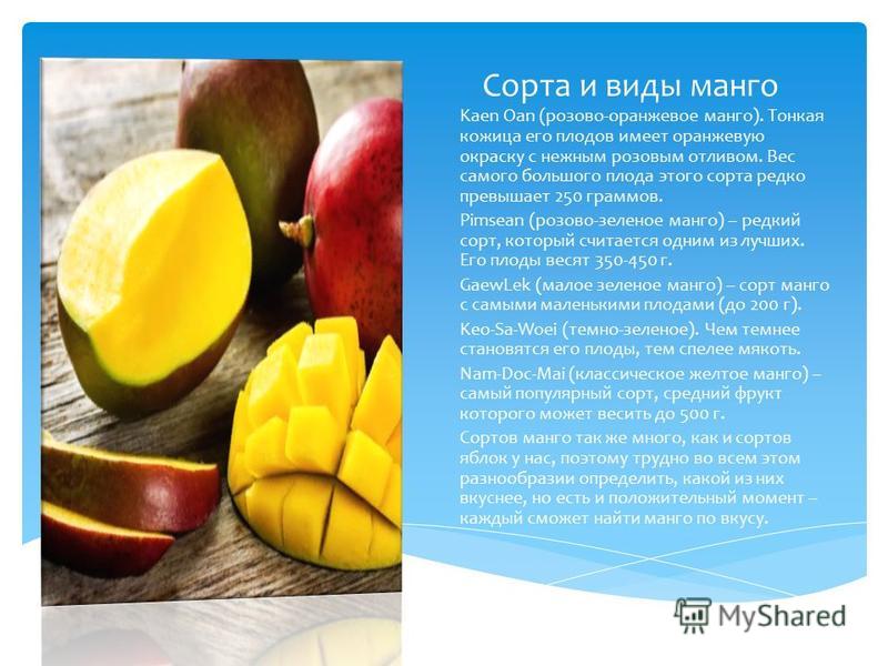 Манго польза фрукта. Полезные свойства манго свежего. Сушеное манго польза и вред для организма. Манго качества полезные для организма. Полезные свойства манго для организма человека.