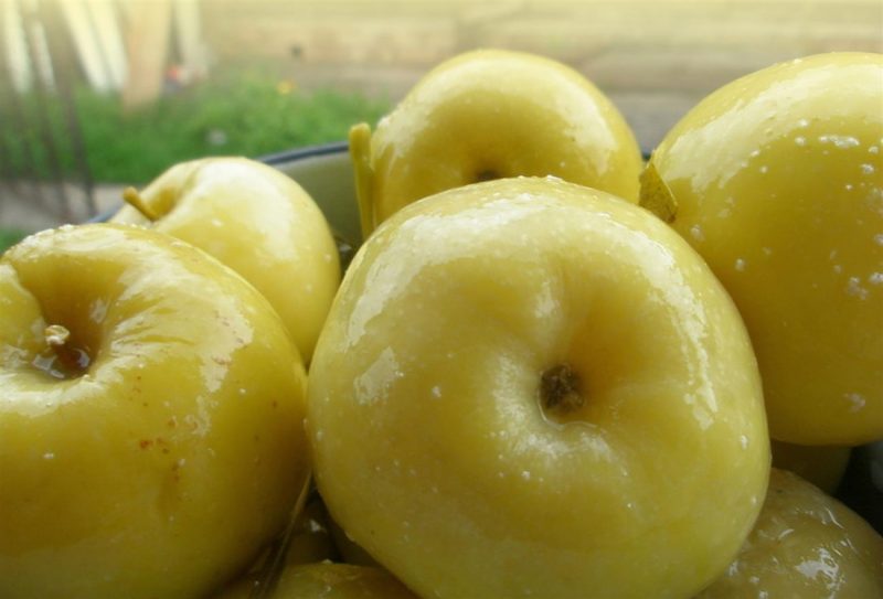 Яблоки, моченные в ведре – 7 простых рецептов на зиму