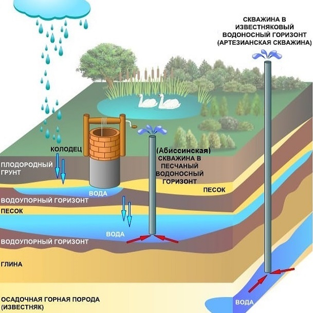 Абиссинская скважина устройство схема и принцип работы