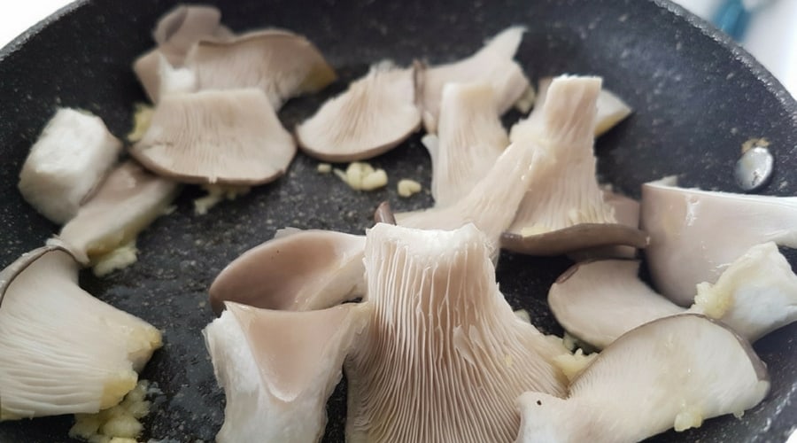 pearl oyster mushrooms from a pan
