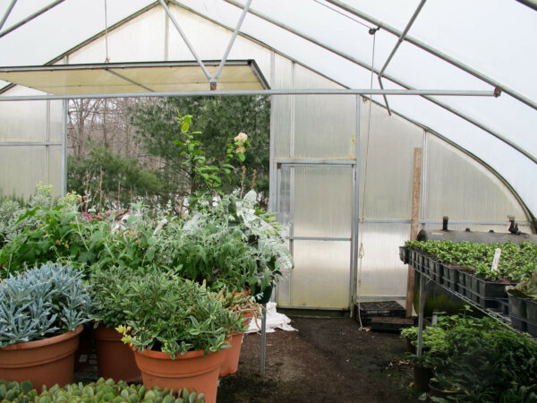 The panels of the greenhouse are unclear, and there is a large panel open in the back.