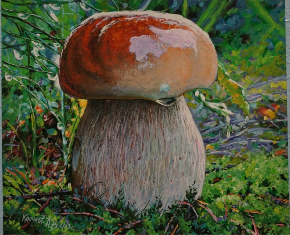 Картина белый гриб