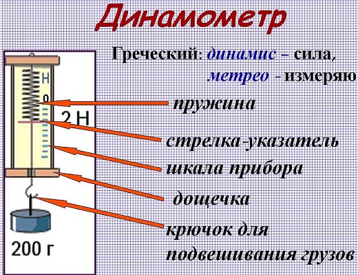 chto-izmeryayut-s-pomoshhyu-dinamometra-1