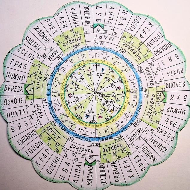 Цветов по дате рождения. Дерево знака зодиака. Календарь друидов деревья. Дерево по друидскому календарю. Дерево по дате рождения.
