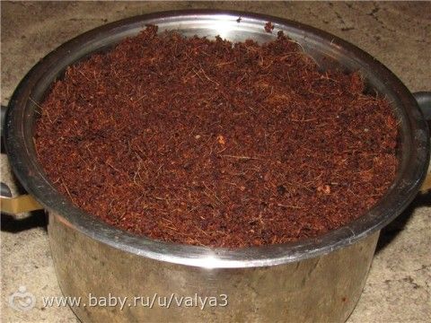 Как подготовить кокосовый субстрат для жизни улиток