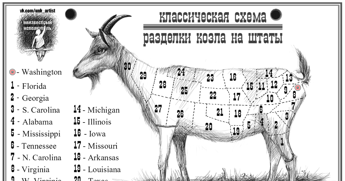 Как разделать барана правильно по частям схема