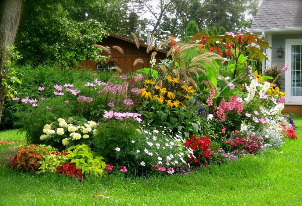 Цветущие многолетники на клумбе пейзажного сада