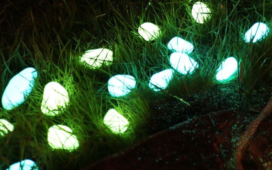 Люминесцентная декоративная подсветка на газоне
