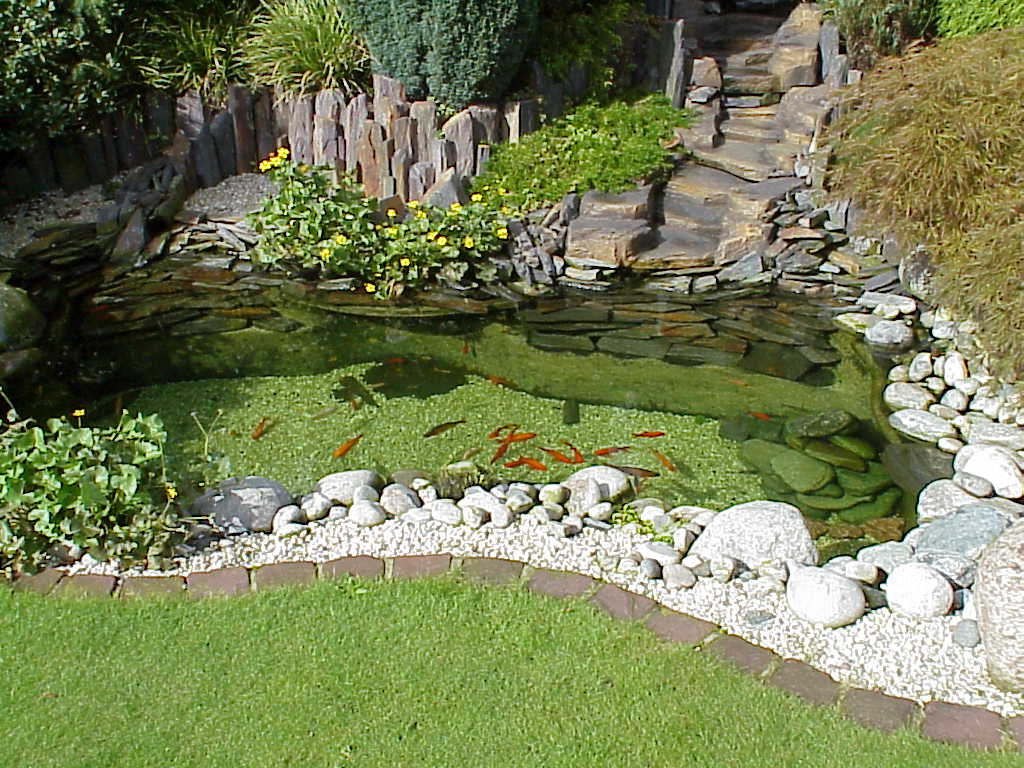 Пример декора камнями пруда в саду