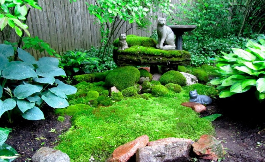 Зеленый мох на клумбе в японском стиле