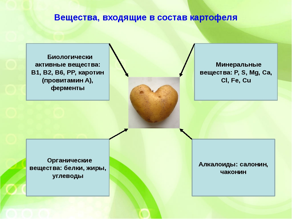 Состав картофеля. Вещества входящие в состав картофеля. Химические свойства картофеля.