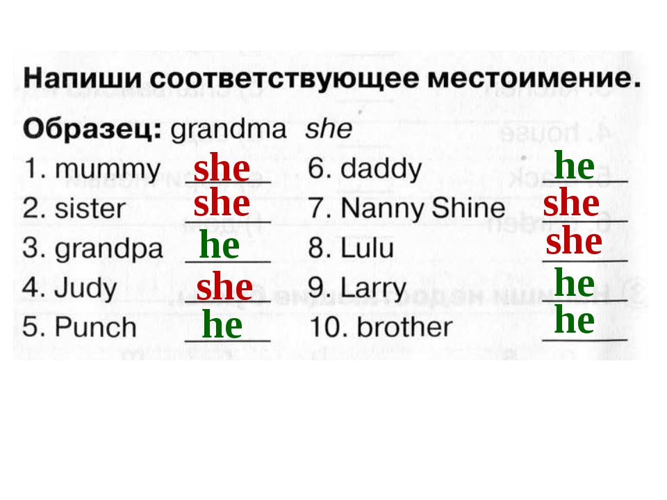 Замени выделенные существительные местоимениями по образцу английский