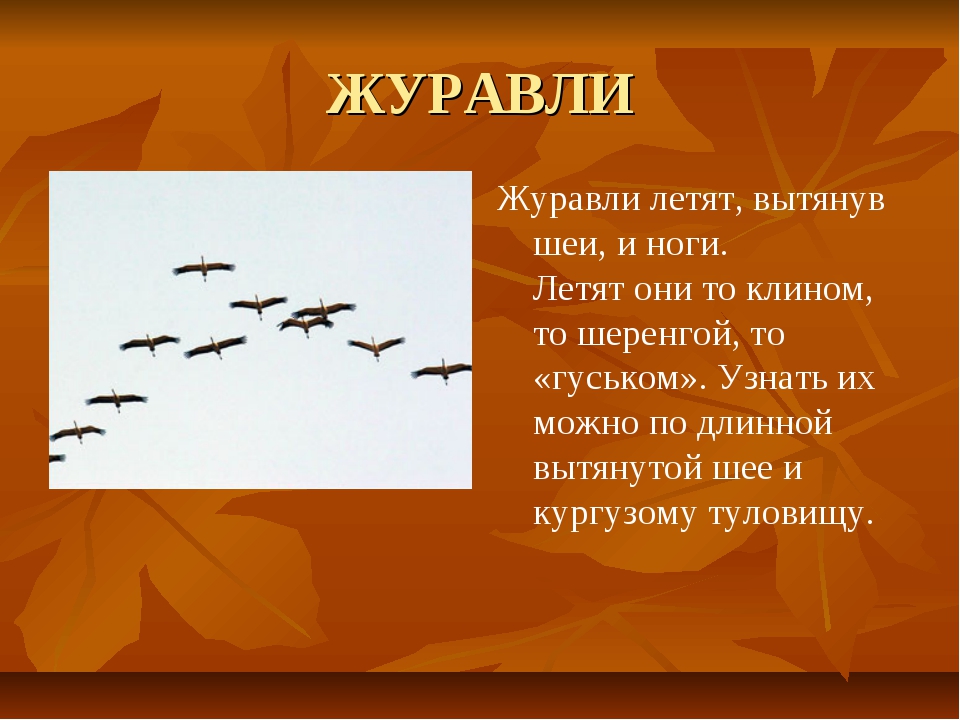 Летел правило. Птицы улетели стих. Птицы на Юг улетают стихотворение. Журавлиный Клин стихи. Улетают Журавли стихи.