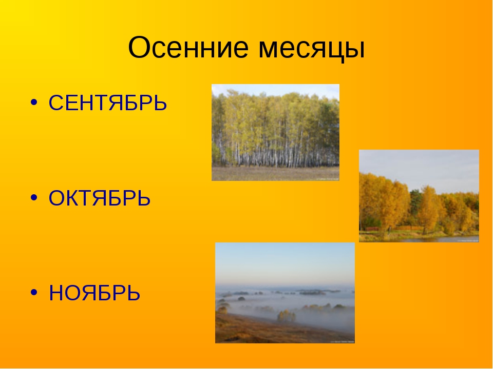 Происходящий осенью какой. Осенние месяцы. Осень сентябрь октябрь ноябрь. Признаки осени сентябрь, октябрь, ноябрь. Месяца сентябрь октябрь ноябрь.