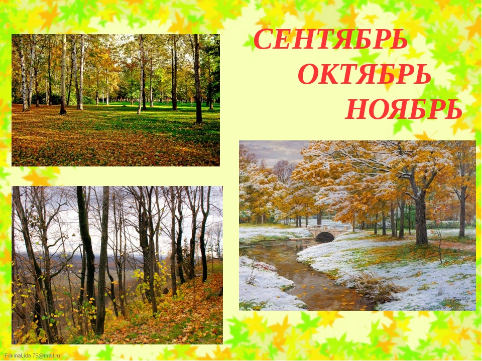 7 сезонных изменений. Осенние изменения в природе. Сентябрь октябрь ноябрь. Сезонные изменения в природе. Сезонные изменения в природе осенью.