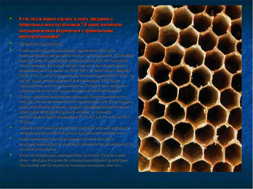 Как получить пчелиные соты. Соты пчелиные. Пчелиные соты форма. Соты строение. Ячейки соты.