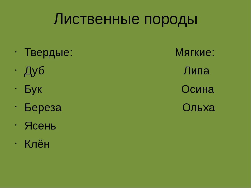 Мягкие породы