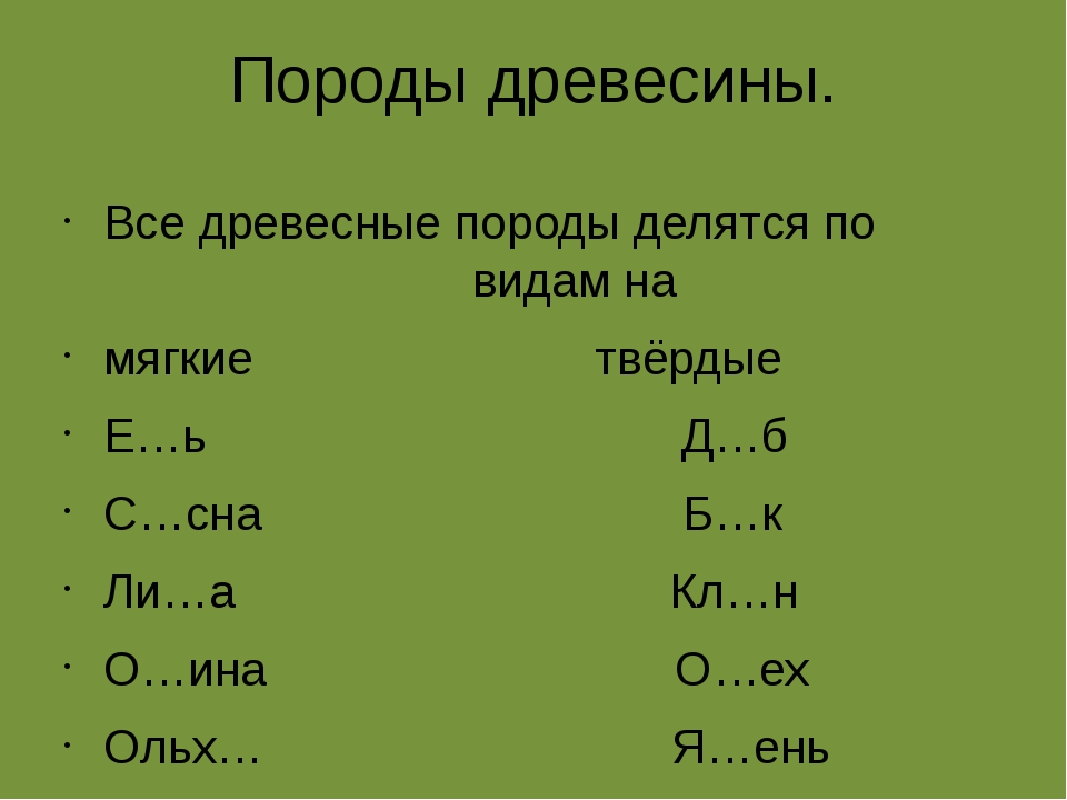 Мягкие породы дерева. Твердыерды породы древесины. Твёрдые и мягкие породы древесины. Твёрдые и мягкие лиственные породы. Мягкие и Твердые породы деревьев.