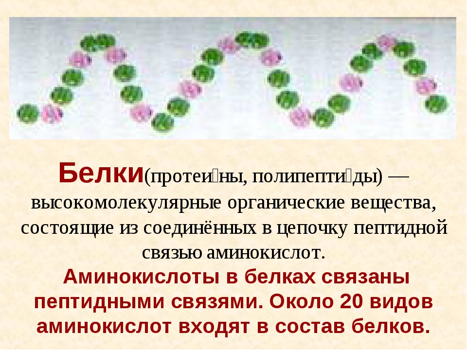 Белок вещество. Белки вещества. Органические соединения белки. Белок органическое вещество. Белки как органические вещества.