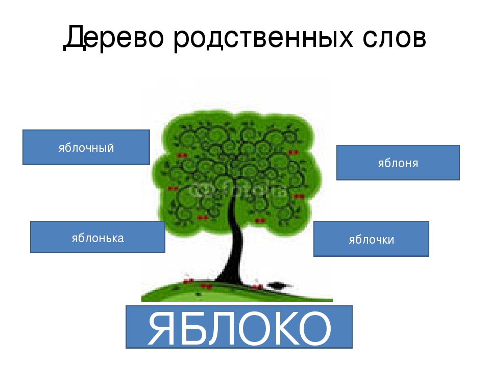 Дерево слов школа