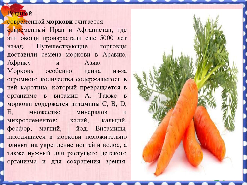 Витамины в моркови печени. Витамины в моркови. Какие витамины содержатся в моркови. Витамины содержащиеся в моркови. Морковь витамины содержит.