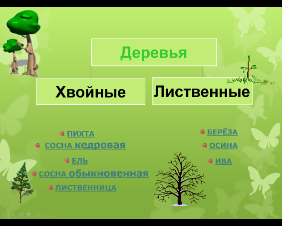 Тополь лиственное или хвойное. Тополь хвойное или лиственное дерево. Липа лиственное или хвойное. Топольльхвойно или личтвено. Липа дерево это хвойное или лиственное дерево.