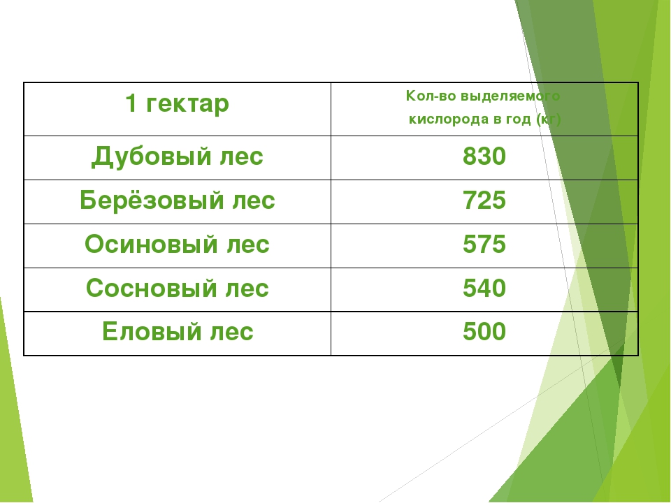 Гектар как проверить. 1 Гектар. 1 Гектар это сколько. Один гектар леса это сколько. Количество деревьев на гектар.