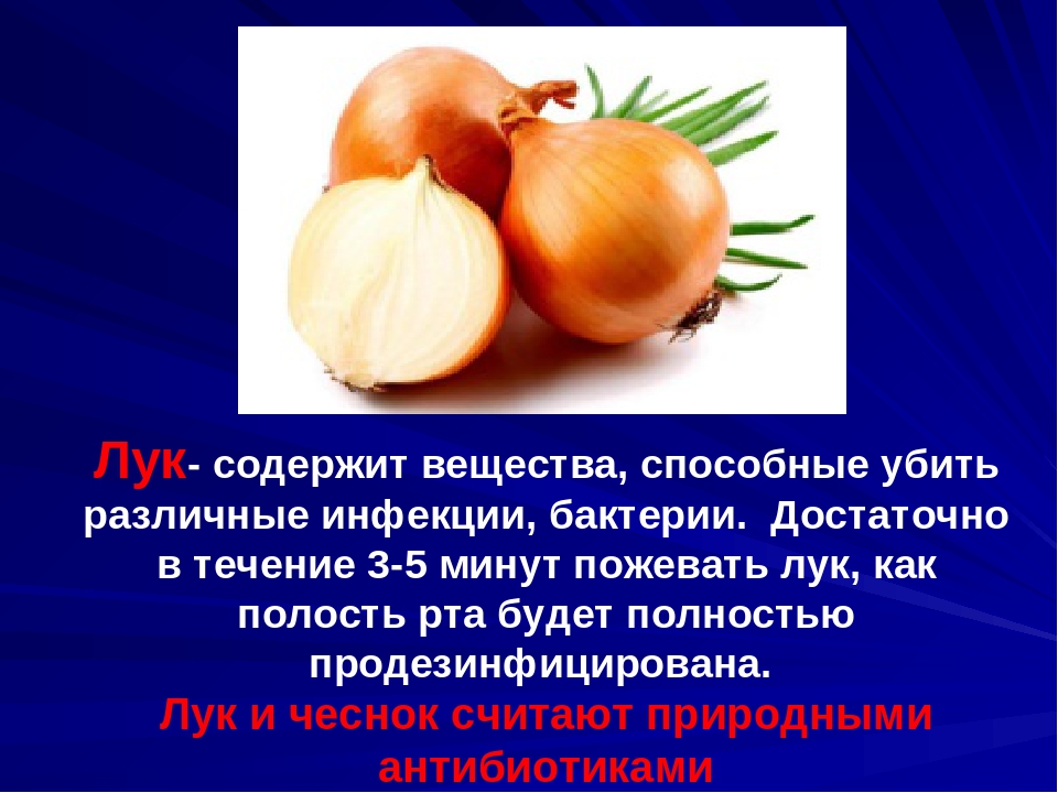 Влияние луки. Лук содержит вещества. Какие вещества содержатся в луке. Какие вещества содержит ЛВК. Какие полезные вещества содержатся в луке.