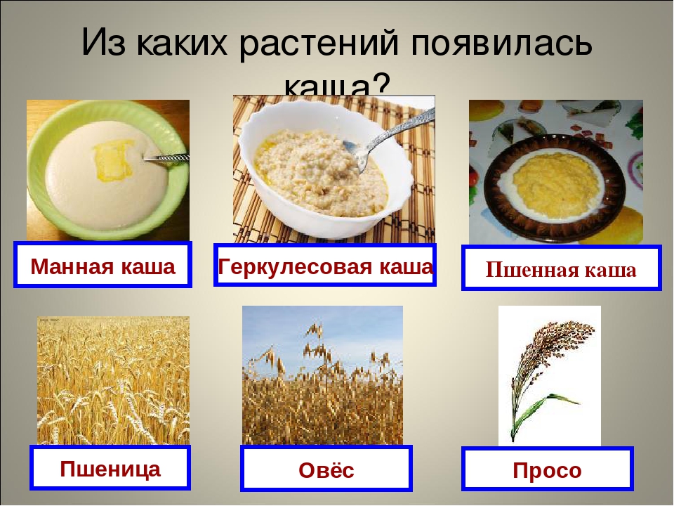 Не соленая каша полезна