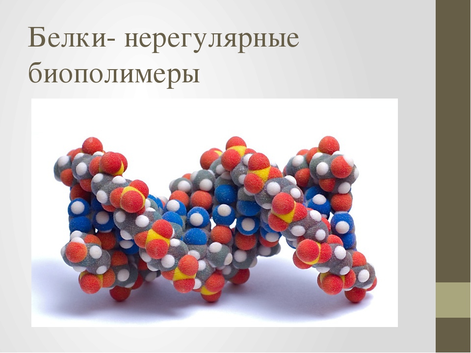 Мономер молекулы белка. Белки биополимеры. Белки нерегулярные биополимеры. Биологические полимеры белки. Биополимеры нерегулярного строения.