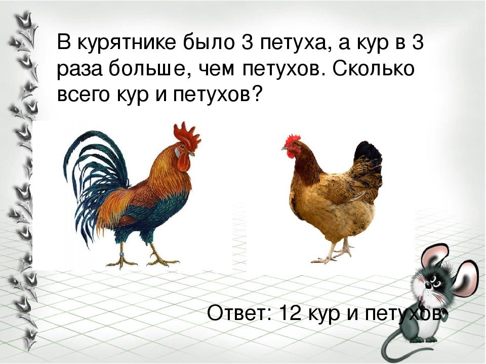 Первая петуха. Петух задания. Загадка про курицу. 2 Курицы и 1 петух. Задачки с курицами.