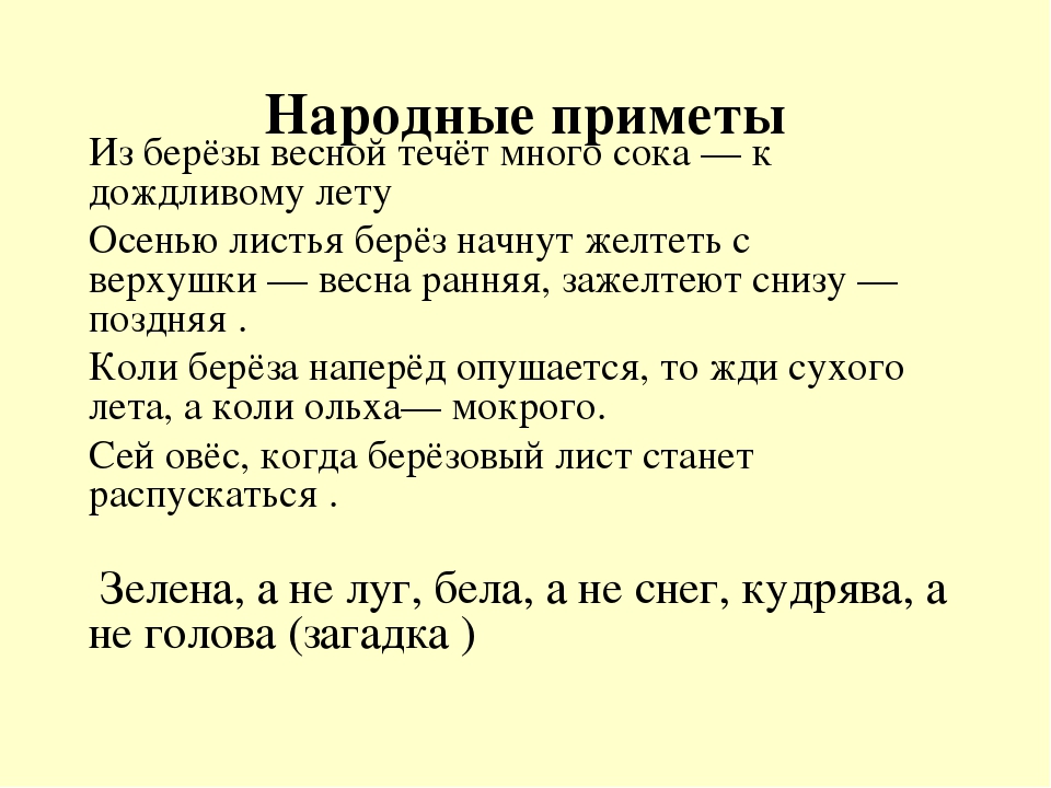 5 примет. Народные приметы о Березе. Приметы о Березе осенью. Народные приметы берёзка. Приметы осенней Березе ?.