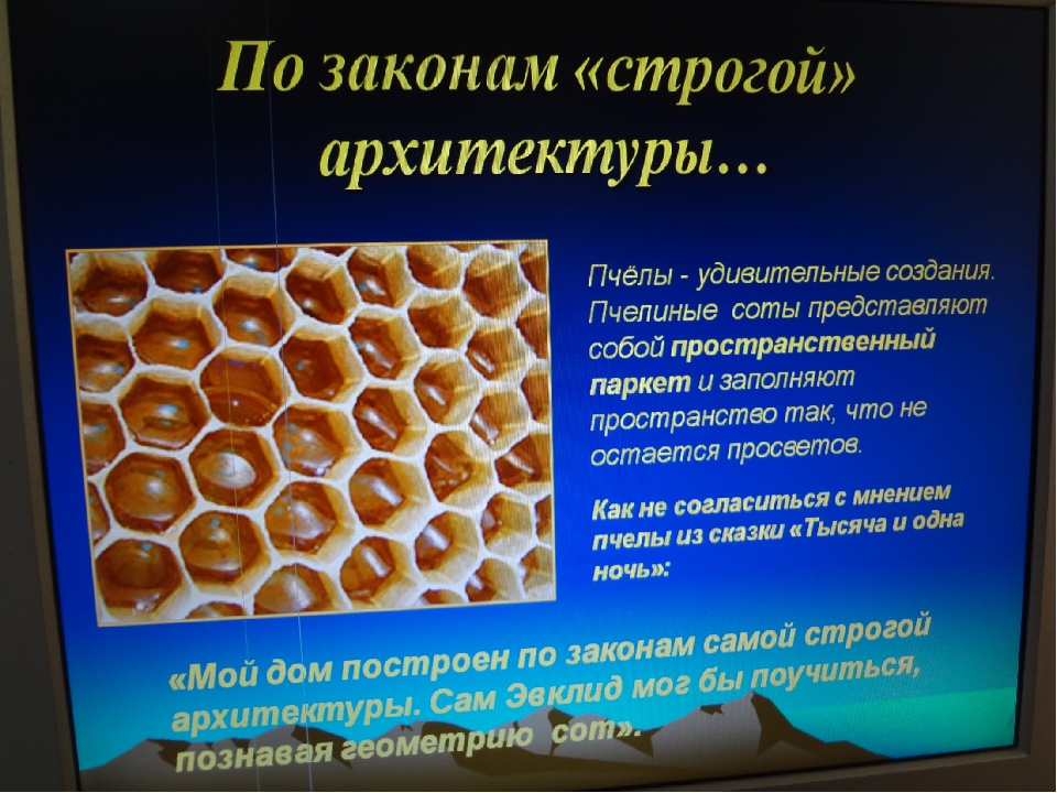 Соты пчелиные. Размер пчелиной соты. Пчелиные соты строение. Размеры пчелиных сот.