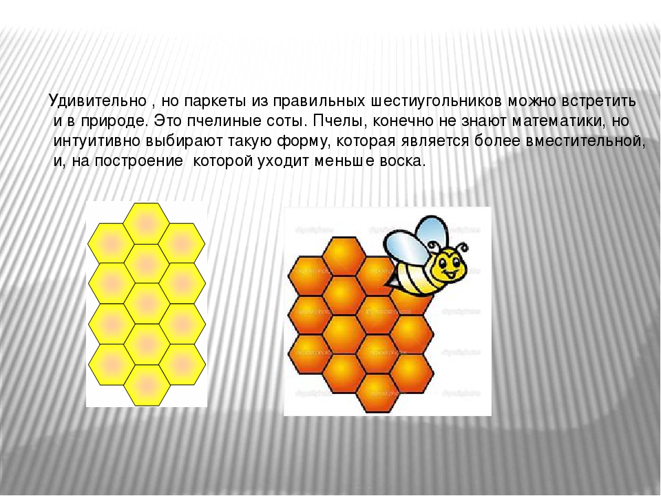 Как получить пчелиные соты. Строение пчелиного сота. Строение ячейки сота пчелиного. Пчелиные соты форма. Пчелиные соты строение.