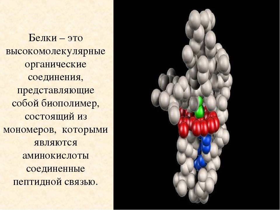 Белки вещества картинки