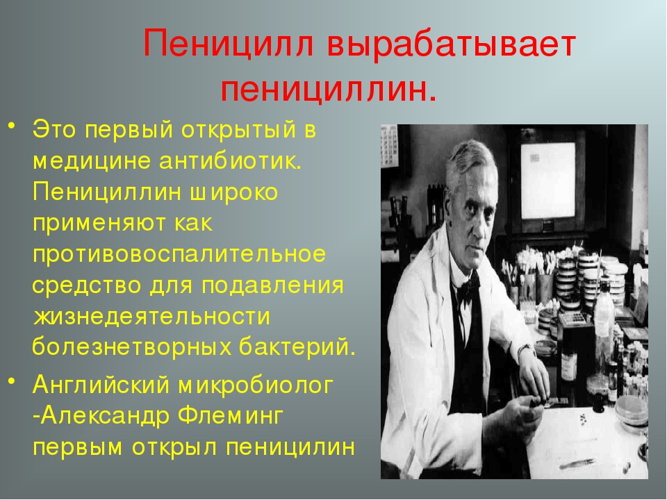 Антибиотики пенициллин Флеминг. Первый антибиотик пенициллин. Пенициллин (Penicillium). Флеминг пенициллин открытие.