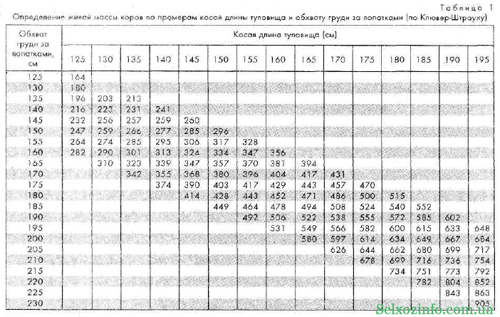 Таблица быков живой