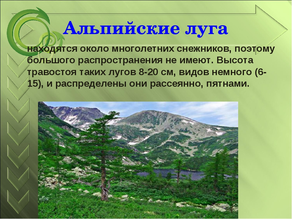 Кубановедение 4 класс презентация природные зоны краснодарского края