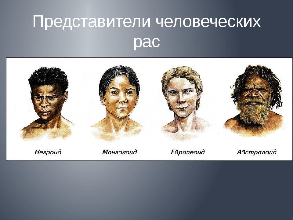 Рисунок человеческие расы