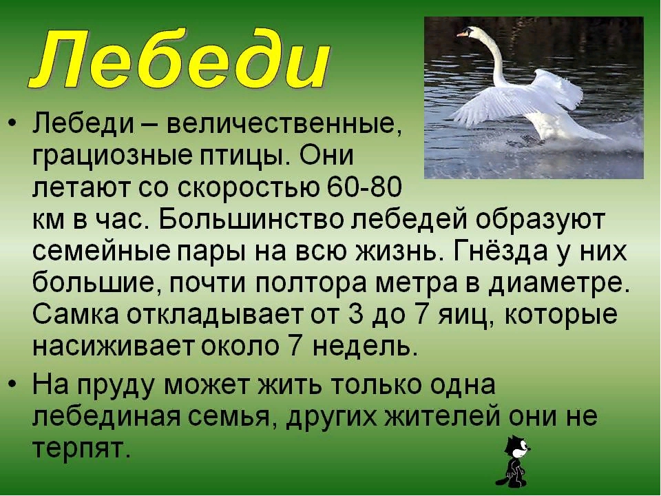 Энциклопедия статью о жизни лебедей