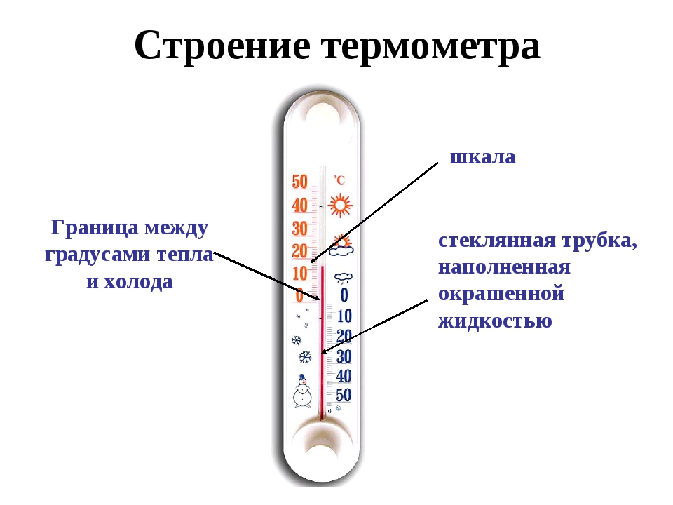 Сделай температуру дома. Строение термометра для измерения температуры. Строение градусника ртутного для измерения температуры тела. Из чего состоит термометр для измерения температуры тела. Строение ртутного термометра.