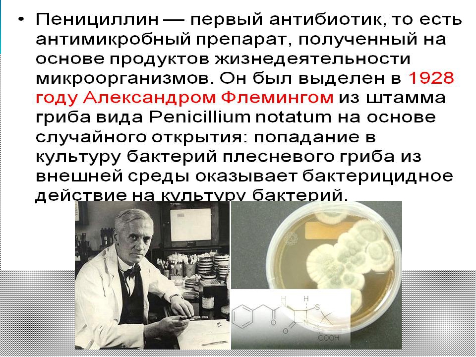 Первый в мире пенициллин
