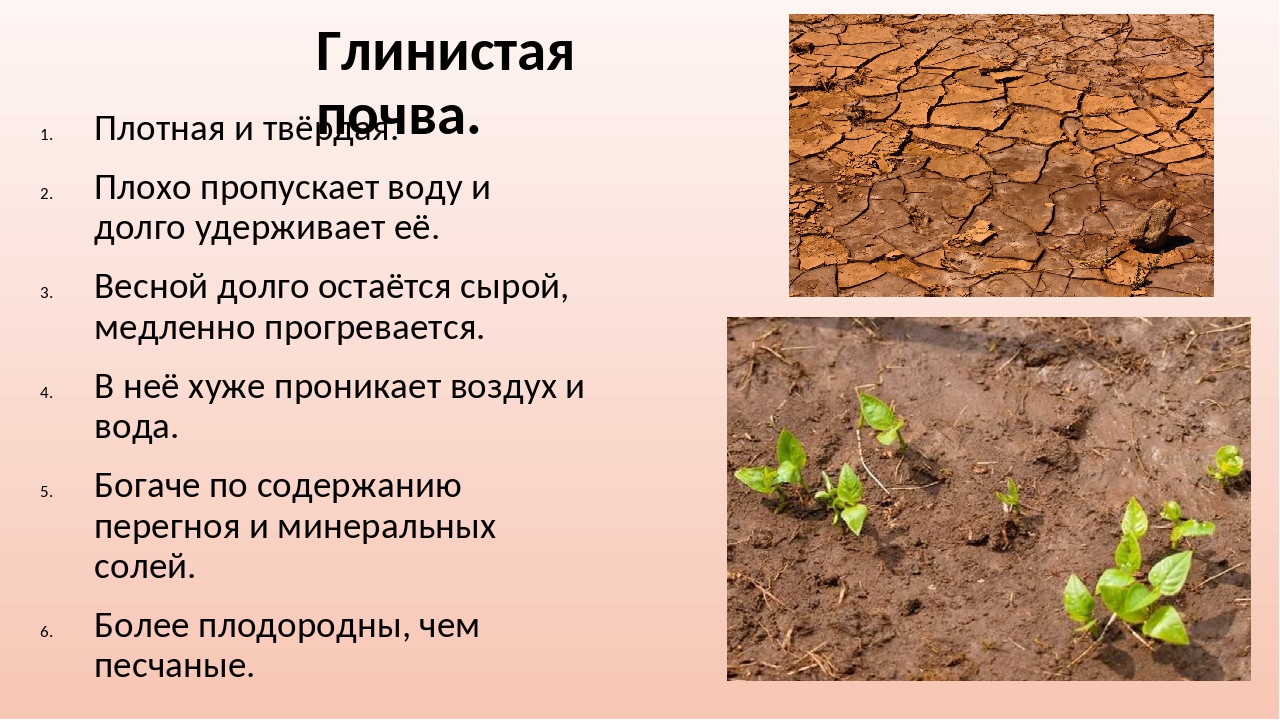 Глинистые грунты определение. Суглинок супесчаная Песчаная глинистая. Глинистая почва. Глинистые и суглинистые почвы. Характеристика глистой почвы.