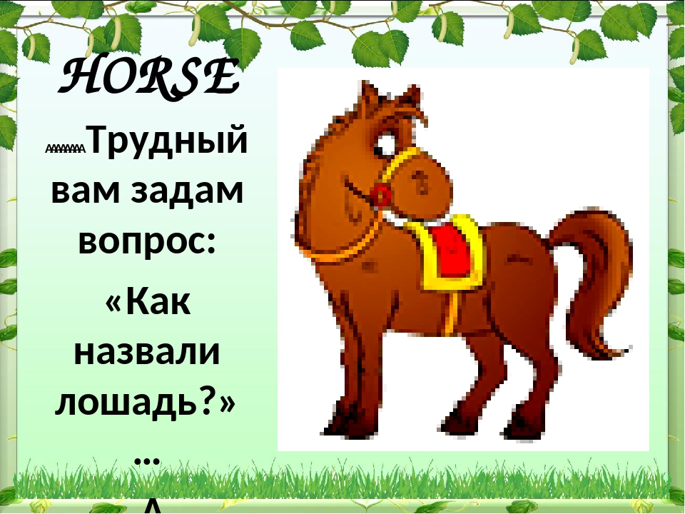Какие бывают клички у лошадей. Клички лошадей. Как назвать лошадку. Как может звать коня. Как зовут лошадок.